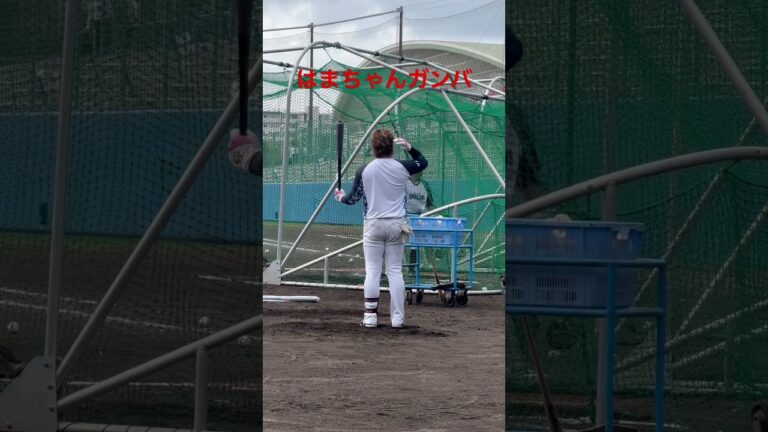 ヤクルトスワローズ濱田太貴選手のバッティング練習