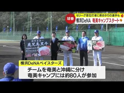 球春到来！　横浜ＤｅＮＡ奄美キャンプスタート　鹿児島ゆかりの大和選手、戸柱選手も参加　鹿児島・奄美市 (24/02/01 19:05)