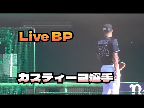 【プロ野球】2024.2.18　オリックス　春季キャンプ　『Live BP  カスティーヨ選手』