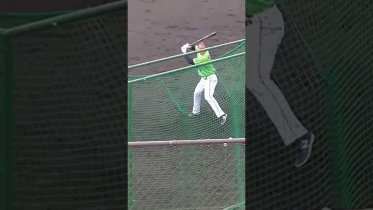 元ヤクルト中山翔太のトスバッティング【プロ野球12球団合同トライアウト2023年11月15日】