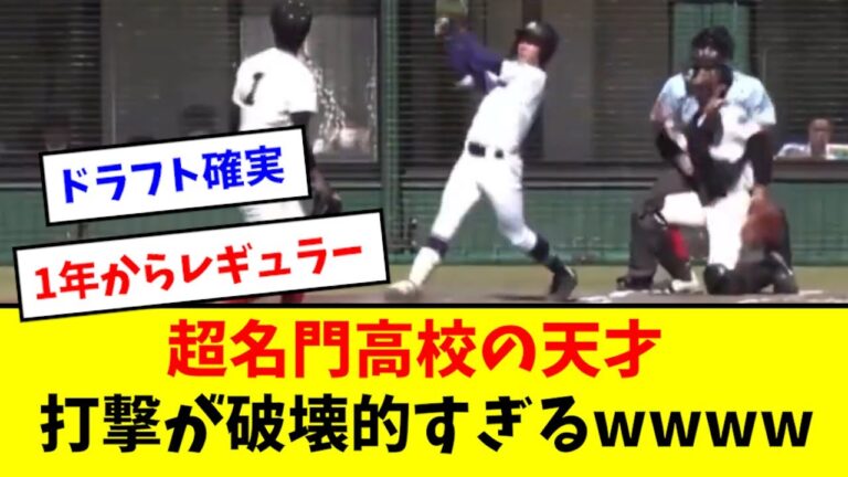 【怪物】超名門の天才、破壊的な打撃を魅せるwwwwwww