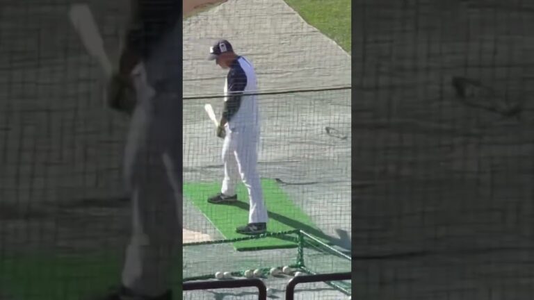 ヤクルト中山翔太トライアウトに向けトスバッティング【合同トライアウト2022年11月8日】 #2022年プロ野球合同トライアウト #野球