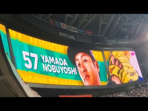 20230916　　山田修義 登板時の登場曲【｢真向勝負｣／CHEHON】　8回表　ｵﾘｯｸｽ･ﾊﾞﾌｧﾛｰｽﾞ@京ｾﾗﾄﾞｰﾑ大阪･ﾚﾌﾄ外野下段
