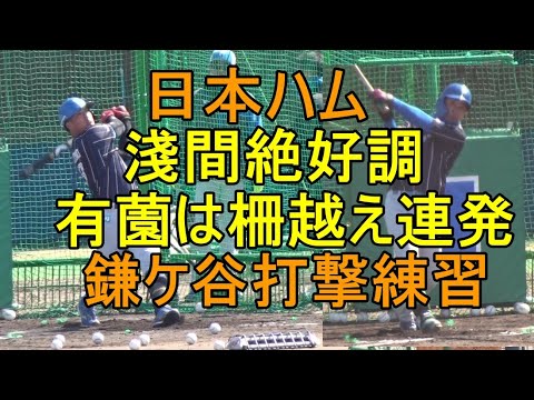 日本ハム 淺間絶好調、有薗は柵越え連発　鎌ケ谷打撃練習2024.2.28
