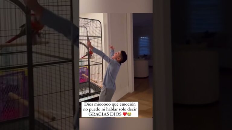 🎺 Edwin Diaz's son reacts to his dad striking out the side ⚾ | #shorts