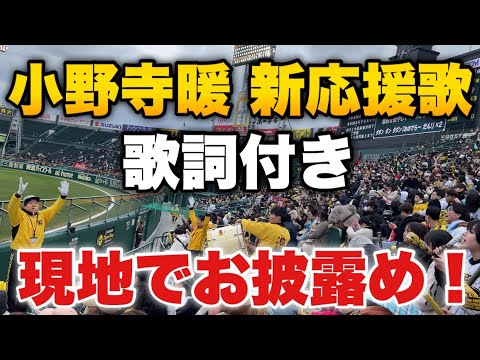 【現地映像】小野寺暖の新応援歌お披露め！甲子園ライトスタンド！2024年3月6日阪神対楽天 オープン戦