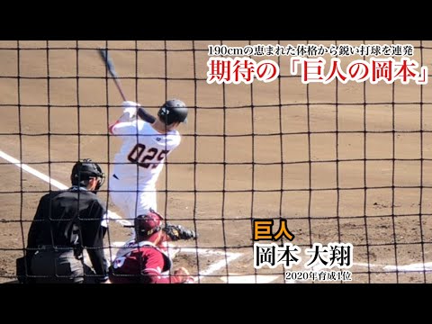 岡本大翔 (巨人) 190cmの恵まれた体格から痛烈な打球！期待の育成スラッガー！