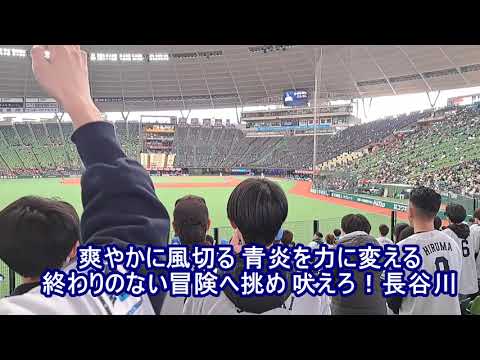 【実録】西武ライオンズ 長谷川信哉 応援歌 (ベルーナドーム オープン戦)