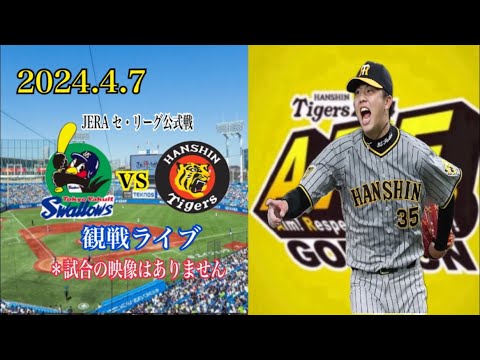 2024.4.7 JERA セ・リーグ公式戦  ヤクルトvs阪神　観戦ライブ 「ヤフーレvs才木」＊試合の映像はありません