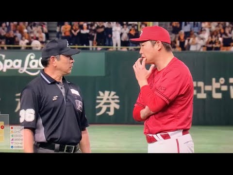 【物議】観客のファウルフライキャッチへ新井監督が抗議