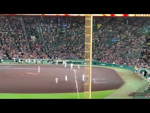 20220415【現地】ロハスJr.の2ランホームランは貴重な追加点！　8回ｳﾗ　阪神ﾀｲｶﾞｰｽ@阪神甲子園球場･ﾚﾌﾄ外野　ﾒﾙ･ﾛﾊｽ･ｼﾞｭﾆｱ