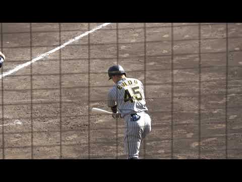 阪神タイガース 遠藤成選手 第1打席 ファーストゴロ 2024/4/19 ちゅーるスタジアム VS くふうハヤテベンチャーズ 藤本颯太投手