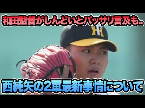 【どうした西純矢..】和田2軍監督がしんどいとバッサリ言及した件について.. 2軍先発陣の最新序列問題を徹底解説【阪神タイガース】