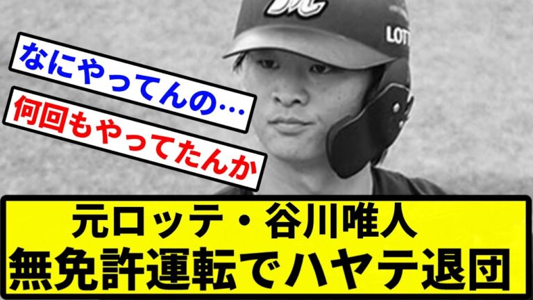 【サヨナラ】元ロッテ・谷川唯人、無免許運転でハヤテ退団【プロ野球反応集】【2chスレ】【1分動画】【5chスレ】