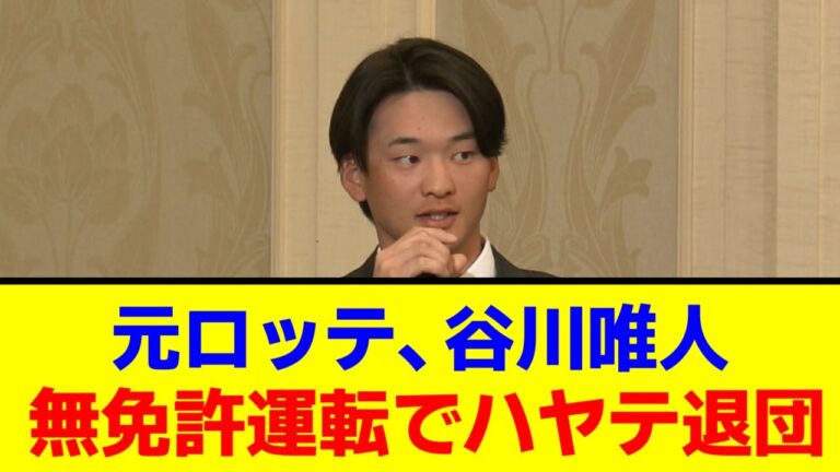 元ロッテ・谷川唯人、無免許運転発覚でハヤテ退団…【なんJ/なんG/プロ野球反応/2ch/5ch/まとめ】
