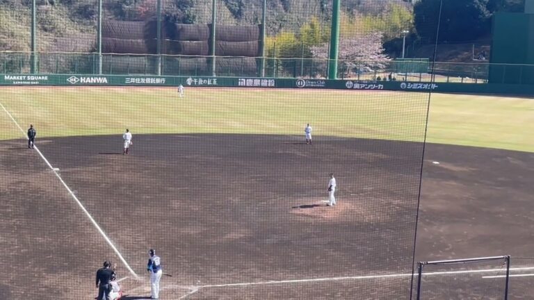 巨人、菊田拡和の守備