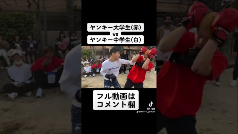 公園で大学生と中学生がガチスパーリング #ショウエイ #喧嘩自慢