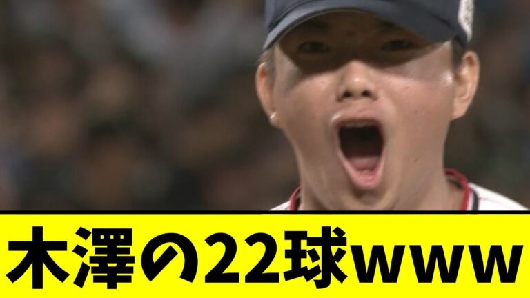 【ヤクルト】木澤の22球www