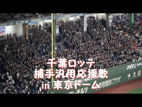 レア「捕手汎用応援歌」（柿沼友哉）in 東京ドーム 2024千葉ロッテ