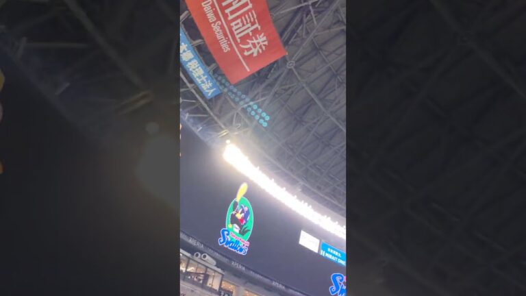 2024.6.13 東京ヤクルトスワローズ スタメン1-9応援歌 みずほPayPayドーム