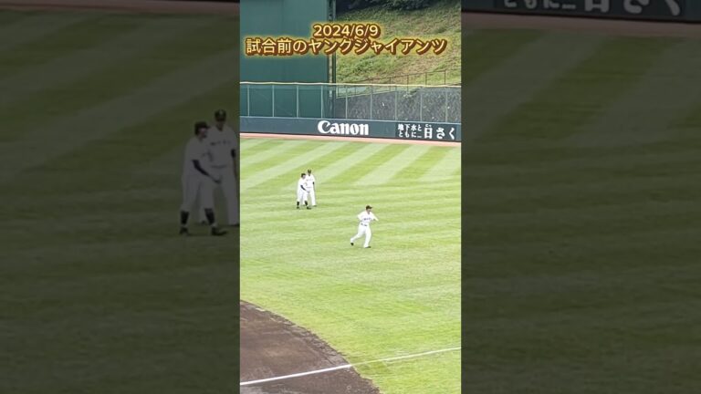 【2024/6/9】試合前のヤングジャイアンツ #巨人 #ジャイアンツ #giants #巨人2軍