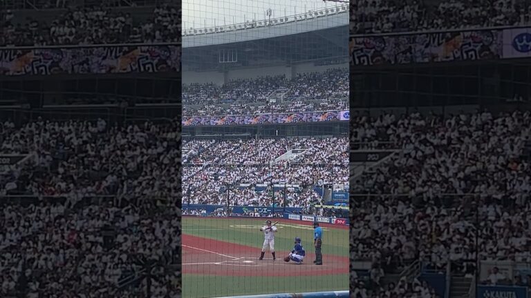 日本生命セ・パ交流戦 2024  32佐藤都志也選手打撃フォーム　2024年6月15日　ZOZOマリンスタジアム　千葉ロッテマリーンズvs中日
