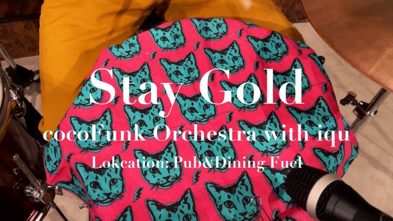 Stay Gold - Hi STANDARD - covered by cocoFunk Orchestra