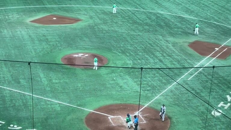 ヤクルト、勝利シーン