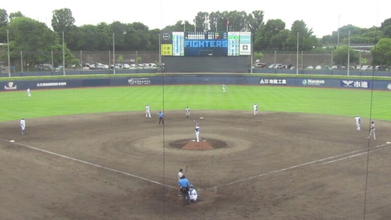 山瀬慎之助を三振にとる齊藤伸治＜日本ハムファイターズ対 読売ジャイアンツ2024年6月25日＞