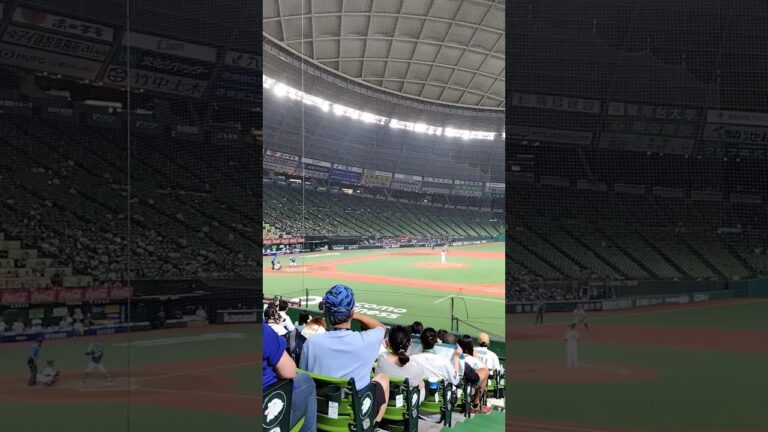 2024/7/2 西武ライオンズ赤上投手の投球音 #プロ野球 #埼玉西武ライオンズ