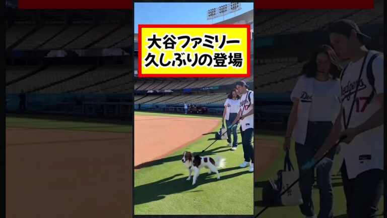 大谷翔平の"試合オフ日"が話題...移動の様子や真美子夫人とデコピン参加#大谷翔平 #真美子夫人 #デコピン最強