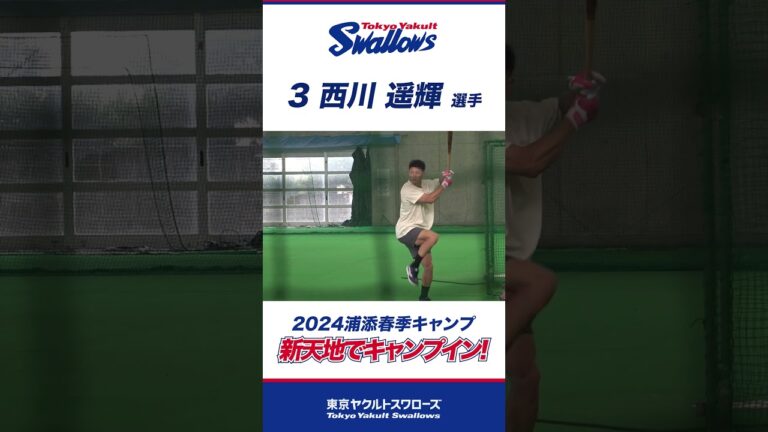 新天地でキャンプイン！西川遥輝選手  #swallows #プロ野球 #東京ヤクルトスワローズ #shorts #西川遥輝