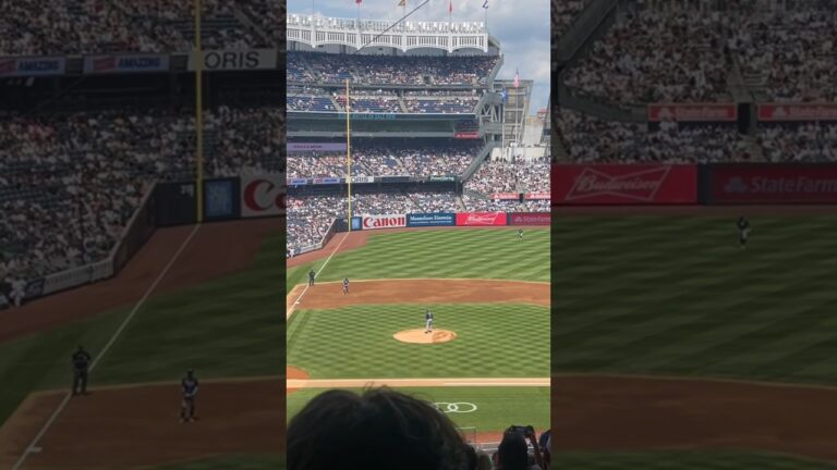 Yankees v Tampa Bay Rays#shortsfeed #yankeesfans#baseball