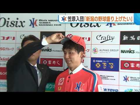 元中日・DeNAの笠原祥太郎 “相思相愛”のオイシックス入団！「新潟の野球盛り上げたい」