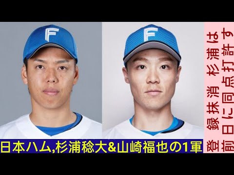 【日本ハム】杉浦稔大&山崎福也の1軍登 録抹消 杉浦は前日に同点打許す7/17(水) 16:28 配信