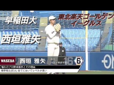 早稲田大学　西垣雅矢(朝来梁瀬中-報徳学園)【東京六大学野球リーグ戦】2021年  東北楽天ゴールデンイーグルス  ドラフト６位