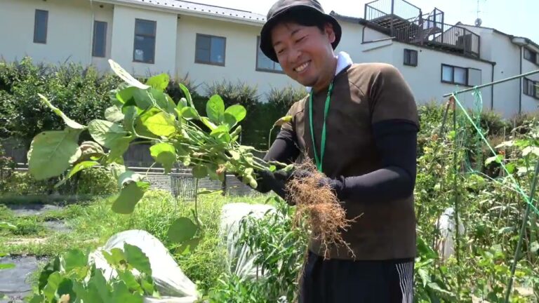 菜園だより240804アグリス成城