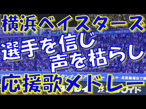 【選手を信じ声を枯らし】横浜DeNAベイスターズ 応援歌 & チャンステーマメドレー｜vs阪神タイガース 2024.08.02