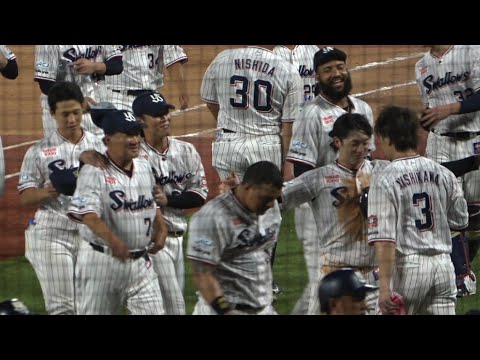 西川遥輝に迫る長岡秀樹🤣オスナの犠牲フライで劇的なサヨナラ勝ち！勝った瞬間のヤクルトナイン 高津監督 山田哲人 サンタナ 丸山和郁 宮本丈 村上宗隆 太田賢吾　ヤクルトハイライト　2024年8月12日
