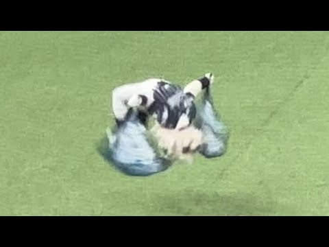 ↑レオがどうなってるか分かります？  勝ってる時の『吠えろライオンズ』【西武vsソフトバンク】2024/8/14 ライオンズフェスティバルズ