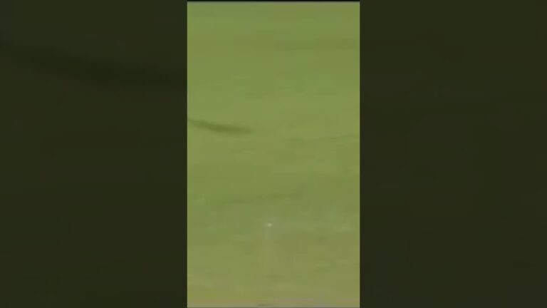 Base Hit Into A Puddle
