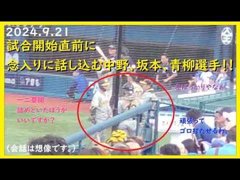 [2024.9.21] 試合開始直前に念入りに話し込む、中野選手＆青柳－坂本バッテリー！ ＠横浜スタジアム～内野指定ＦＢ(STAR SIDE)視点～【阪神タイガース】
