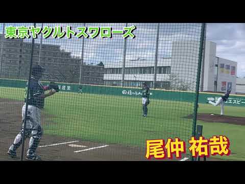 ヤクルトスワローズ　尾仲祐哉　ブルペン投球