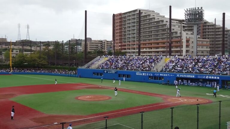 横浜DeNAベイスターズ勝又温史選手(1打席目)