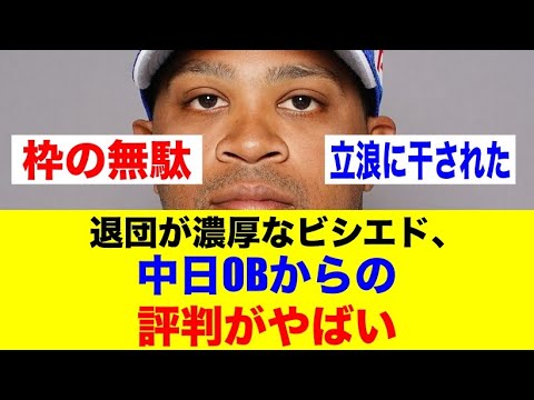 退団が濃厚なビシエド、中日OBからの評判がやばい・・・【野球情報反応スレ】【2ch 5ch】【なんJ なんG】