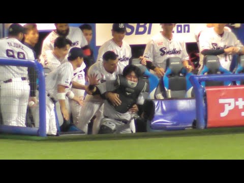 オスナ選手,決死のフォローにSNSでは「ナイスガイすぎる」と賞賛の嵐！今季初スタメンの巨人山瀬捕手が相手ベンチへアクロバティックダイブ！思わず阿部監督の表情も笑顔に！巨人vsヤクルト 1回裏