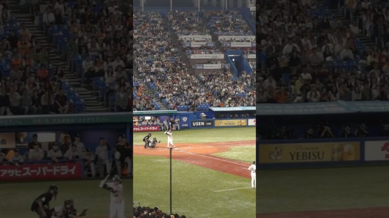 ２０２４年９月２９日 ９回裏 松本直樹🆚平内龍太＠神宮球場　#東京ヤクルトスワローズ 　#読売ジャイアンツ 　#セリーグ公式戦 　#チャンネル登録高評価よろしくお願いします 　#燕征 　東京ダービー　