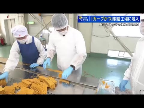 「カープかつ」１日に１３万枚量産　安部友裕さん製造現場に潜入　「美味しさ」のウラに超絶！職人技
