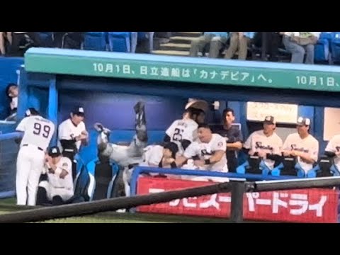 フライを追ってスワローズベンチに突っ込む山瀬慎之助