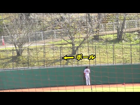 レフトもただ見送るだけの一撃！巨人増田大輝選手,打った瞬間ベンチからも歓声上がるソロ本塁打！巨人vs広島 8回表